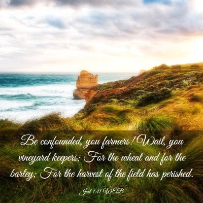 Picture 03 - Joel 1:11 WEB - Be confounded, you farmers! Wail, you vineyard - Bible Verse Picture