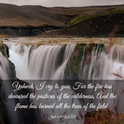 Picture 03 - Joel 1:19 WEB - Yahweh, I cry to you, For the fire has devoured - Bible Verse Picture