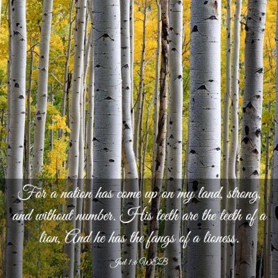 Picture 03 - Joel 1:6 WEB - For a nation has come up on my land, strong, and - Bible Verse Picture