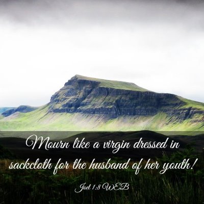 Picture 03 - Joel 1:8 WEB - Mourn like a virgin dressed in sackcloth for the - Bible Verse Picture