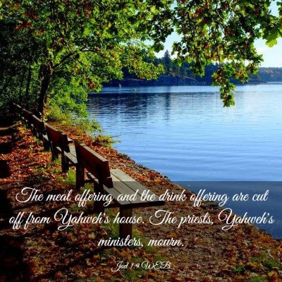 Picture 03 - Joel 1:9 WEB - The meal offering and the drink offering are cut - Bible Verse Picture