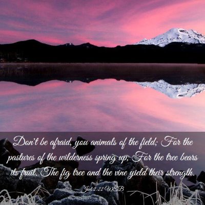 Picture 03 - Joel 2:22 WEB - Don't be afraid, you animals of the field; For - Bible Verse Picture