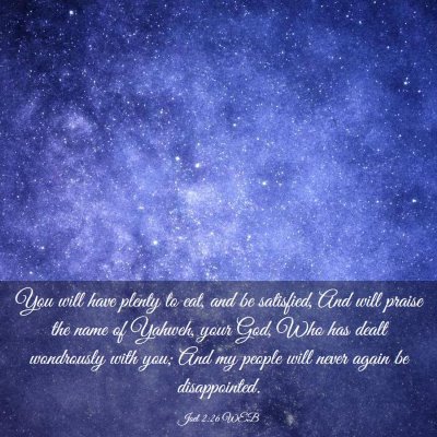Picture 03 - Joel 2:26 WEB - You will have plenty to eat, and be satisfied, - Bible Verse Picture