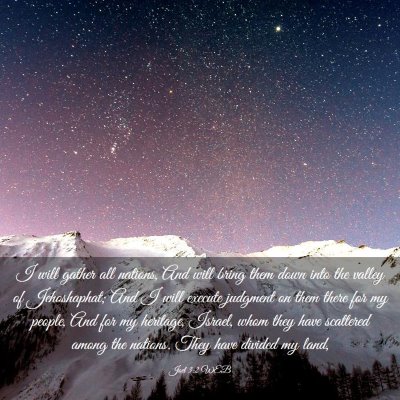 Picture 03 - Joel 3:2 WEB - I will gather all nations, And will bring them - Bible Verse Picture