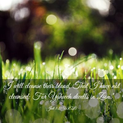 Picture 03 - Joel 3:21 WEB - I will cleanse their blood, That I have not - Bible Verse Picture