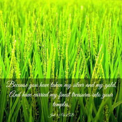 Picture 03 - Joel 3:5 WEB - Because you have taken my silver and my gold, And - Bible Verse Picture