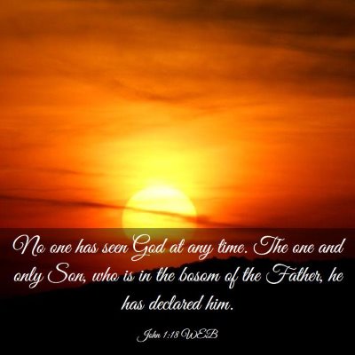 Picture 03 - John 1:18 WEB - No one has seen God at any time. The one and only - Bible Verse Picture