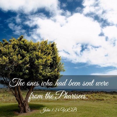 Picture 03 - John 1:24 WEB - The ones who had been sent were from the - Bible Verse Picture