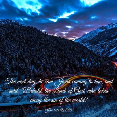 Picture 03 - John 1:29 WEB - The next day, he saw Jesus coming to him, and - Bible Verse Picture