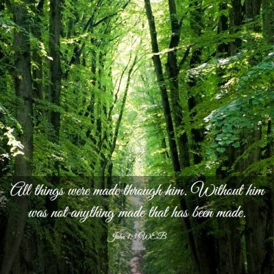 Picture 03 - John 1:3 WEB - All things were made through him. Without him was - Bible Verse Picture