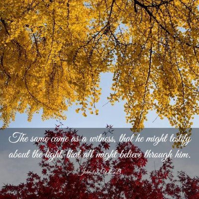 Picture 03 - John 1:7 WEB - The same came as a witness, that he might testify - Bible Verse Picture