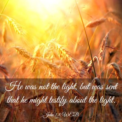 Picture 03 - John 1:8 WEB - He was not the light, but was sent that he might - Bible Verse Picture