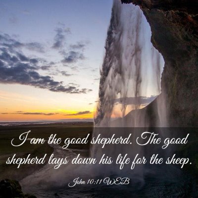 Picture 03 - John 10:11 WEB - I am the good shepherd. The good shepherd lays - Bible Verse Picture
