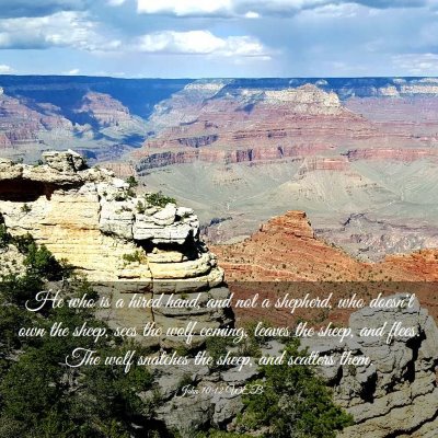 Picture 03 - John 10:12 WEB - He who is a hired hand, and not a shepherd, who - Bible Verse Picture