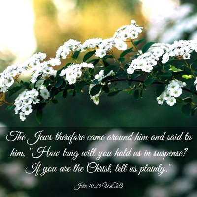 Picture 03 - John 10:24 WEB - The Jews therefore came around him and said to - Bible Verse Picture