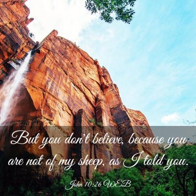 Picture 03 - John 10:26 WEB - But you don't believe, because you are not of my - Bible Verse Picture