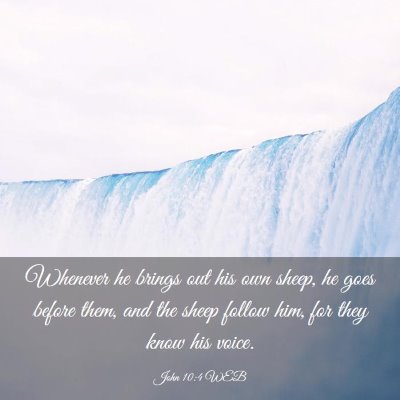 Picture 03 - John 10:4 WEB - Whenever he brings out his own sheep, he goes - Bible Verse Picture