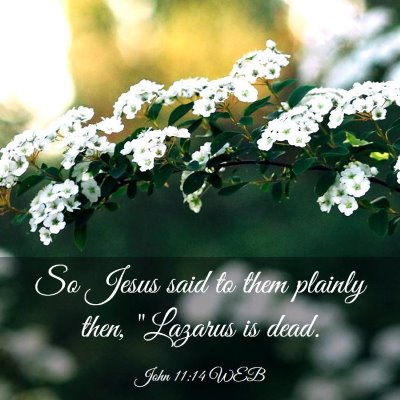 Picture 03 - John 11:14 WEB - So Jesus said to them plainly then, 