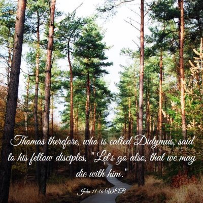 Picture 03 - John 11:16 WEB - Thomas therefore, who is called Didymus, said to - Bible Verse Picture