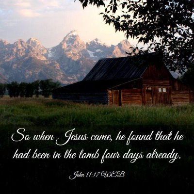 Picture 03 - John 11:17 WEB - So when Jesus came, he found that he had been in - Bible Verse Picture