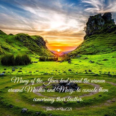 Picture 03 - John 11:19 WEB - Many of the Jews had joined the women around - Bible Verse Picture