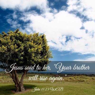 Picture 03 - John 11:23 WEB - Jesus said to her, 