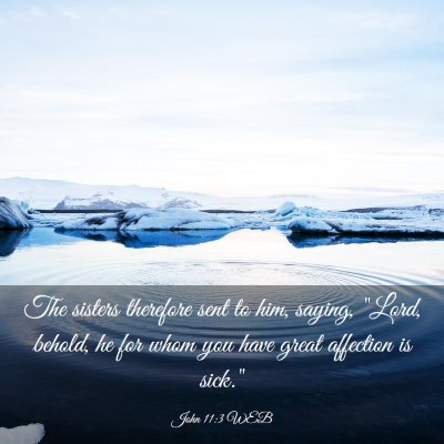Picture 03 - John 11:3 WEB - The sisters therefore sent to him, saying, 