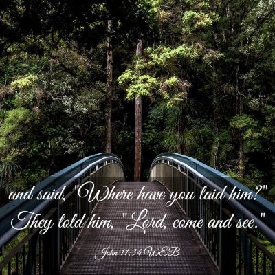 Picture 03 - John 11:34 WEB - and said, 