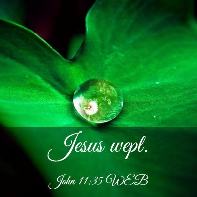 Picture 03 - John 11:35 WEB - Jesus - Bible Verse Picture