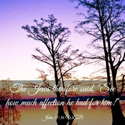 Picture 03 - John 11:36 WEB - The Jews therefore said, 