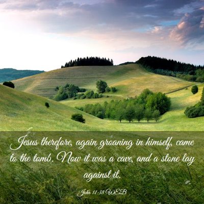 Picture 03 - John 11:38 WEB - Jesus therefore, again groaning in himself, came - Bible Verse Picture