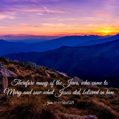 Picture 03 - John 11:45 WEB - Therefore many of the Jews, who came to Mary and - Bible Verse Picture