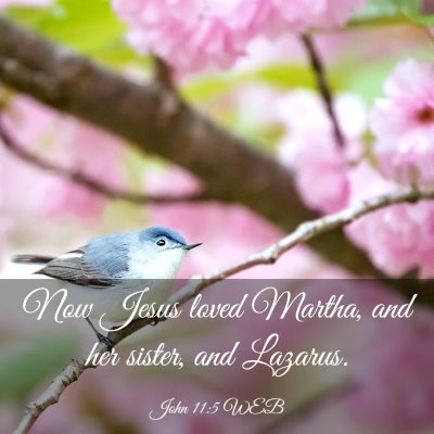Picture 03 - John 11:5 WEB - Now Jesus loved Martha, and her sister, and - Bible Verse Picture