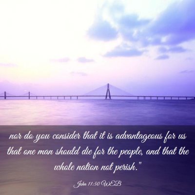 Picture 03 - John 11:50 WEB - nor do you consider that it is advantageous for - Bible Verse Picture