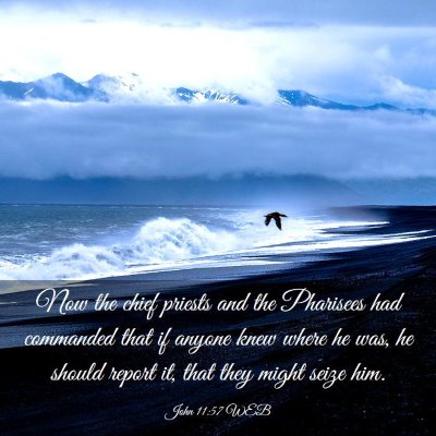 Picture 03 - John 11:57 WEB - Now the chief priests and the Pharisees had - Bible Verse Picture