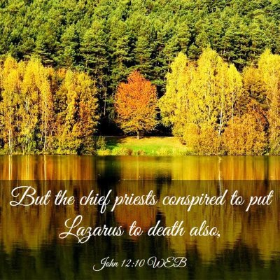Picture 03 - John 12:10 WEB - But the chief priests conspired to put Lazarus to - Bible Verse Picture