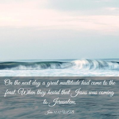 Picture 03 - John 12:12 WEB - On the next day a great multitude had come to the - Bible Verse Picture