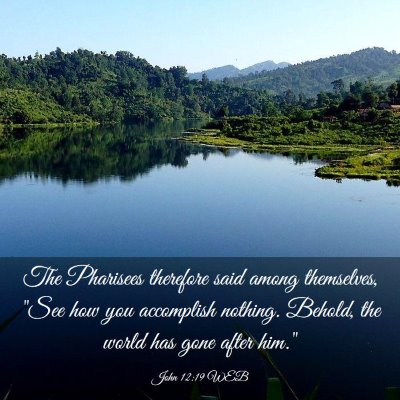 Picture 03 - John 12:19 WEB - The Pharisees therefore said among themselves, - Bible Verse Picture