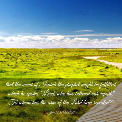 Picture 03 - John 12:38 WEB - that the word of Isaiah the prophet might be - Bible Verse Picture