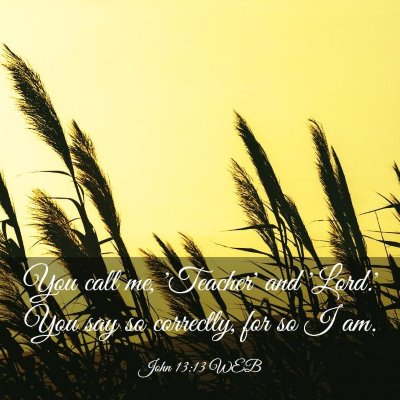 Picture 03 - John 13:13 WEB - You call me, 'Teacher' and 'Lord.' You say so - Bible Verse Picture