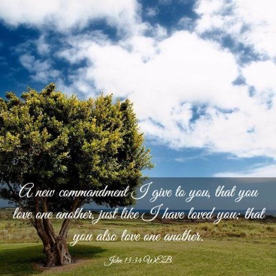 Picture 03 - John 13:34 WEB - A new commandment I give to you, that you love - Bible Verse Picture