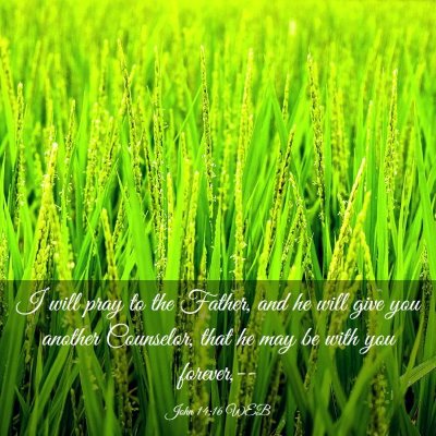 Picture 03 - John 14:16 WEB - I will pray to the Father, and he will give you - Bible Verse Picture