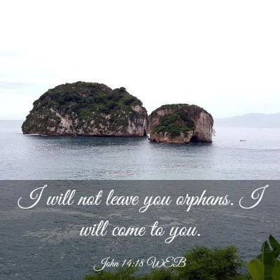 Picture 03 - John 14:18 WEB - I will not leave you orphans. I will come to - Bible Verse Picture