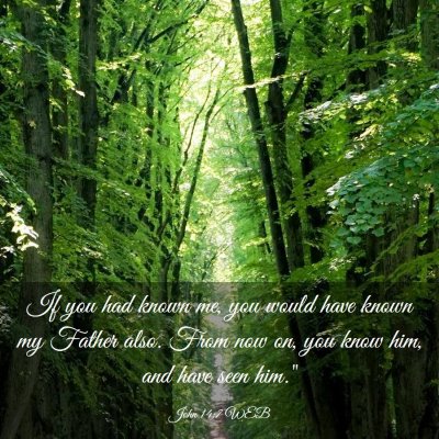 Picture 03 - John 14:7 WEB - If you had known me, you would have known my - Bible Verse Picture