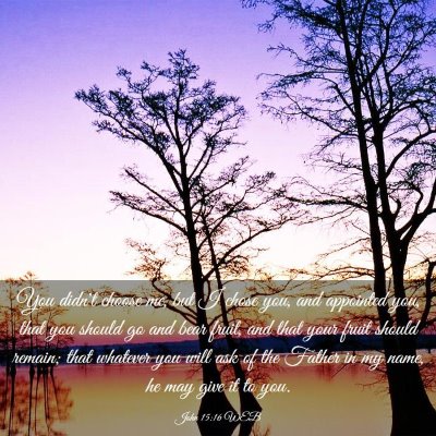 Picture 03 - John 15:16 WEB - You didn't choose me, but I chose you, and - Bible Verse Picture