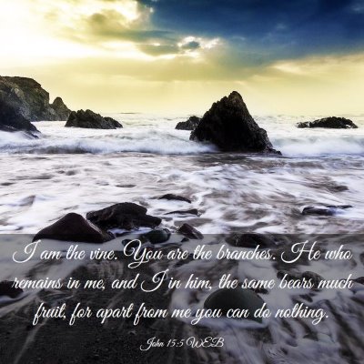 Picture 03 - John 15:5 WEB - I am the vine. You are the branches. He who - Bible Verse Picture