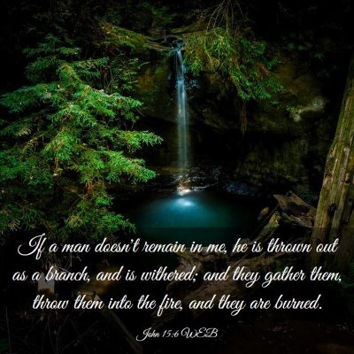 Picture 03 - John 15:6 WEB - If a man doesn't remain in me, he is thrown out - Bible Verse Picture