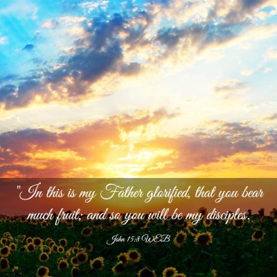 Picture 03 - John 15:8 WEB - 