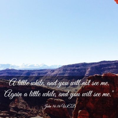 Picture 03 - John 16:16 WEB - A little while, and you will not see me. Again a - Bible Verse Picture