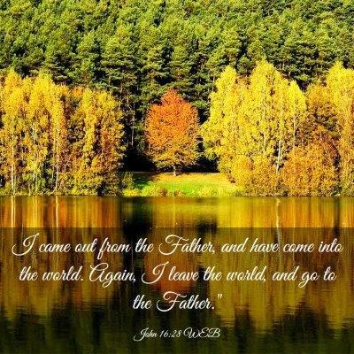 Picture 03 - John 16:28 WEB - I came out from the Father, and have come into - Bible Verse Picture